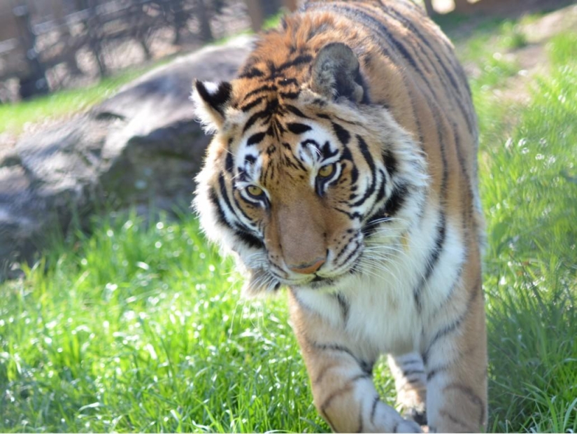 Unusual friendship - they have been together for 13 years