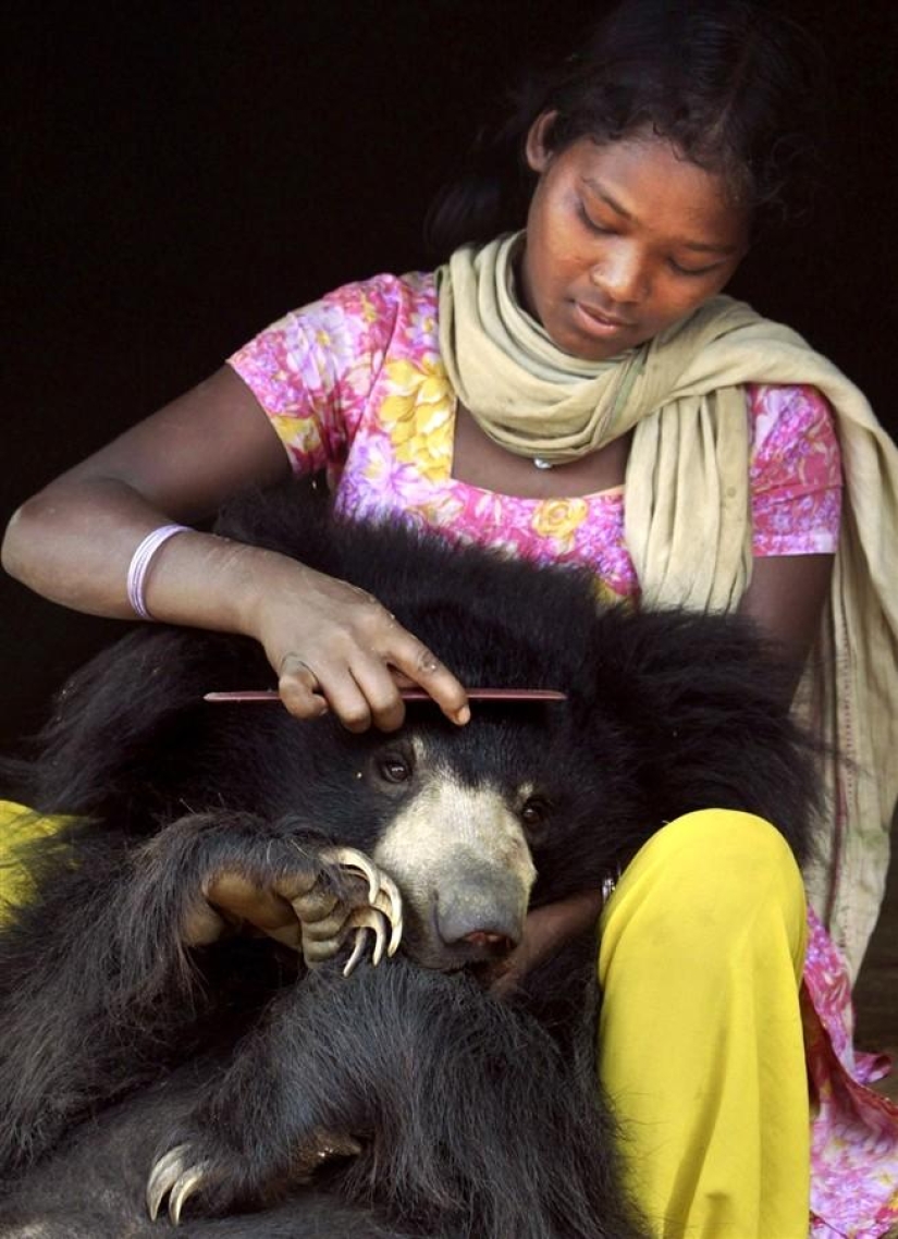 Unusual pet: a tame bear in an Indian family