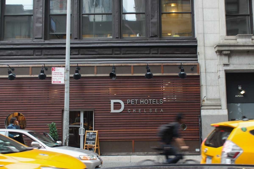 Up to $200 a Night: New York Dog Hotel
