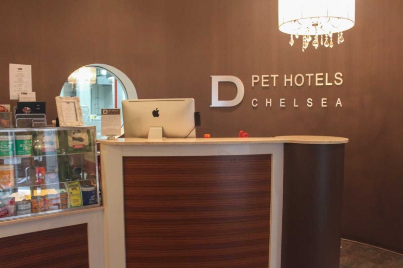 Up to $200 a Night: New York Dog Hotel