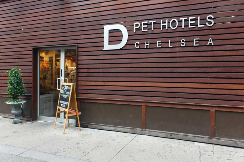 Up to $200 a Night: New York Dog Hotel
