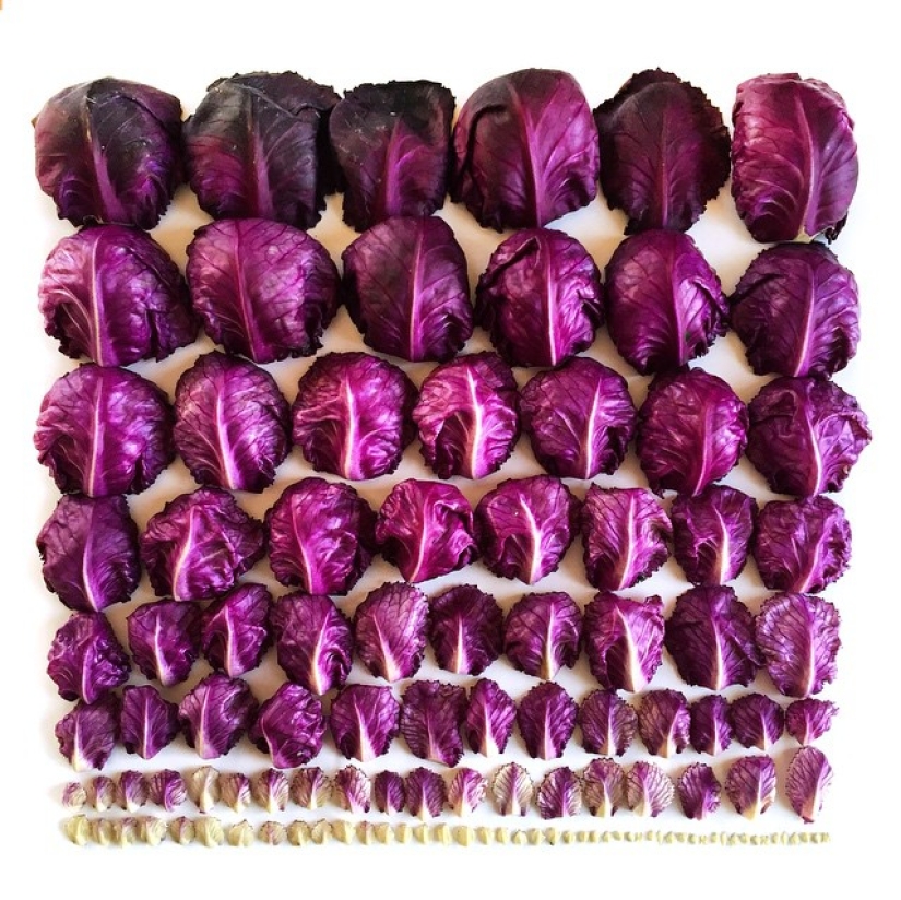 Usuario de Instagram convierte comida en pinturas de arcoíris