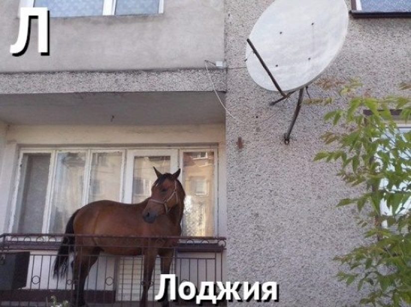 V-Splendor: Un alfabeto duro para diseñadores de interiores V-Splendor: Un alfabeto duro para diseñadores de interiores