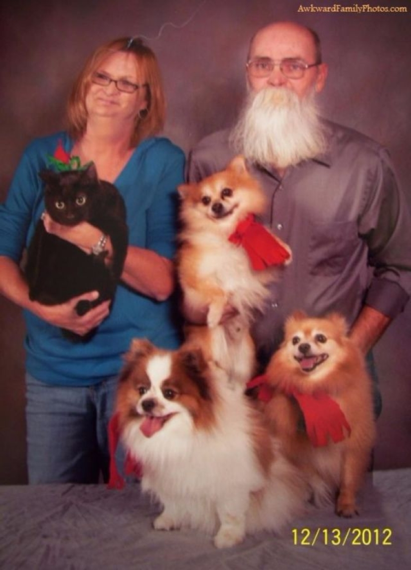 Very strange family photos with pets