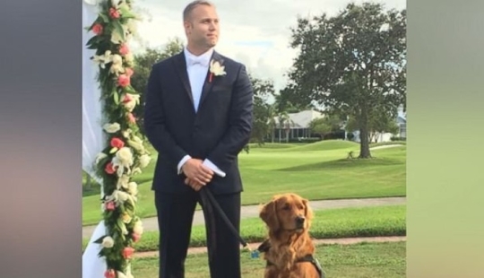 Veterano discapacitado convierte a su perro de servicio en el padrino de su boda