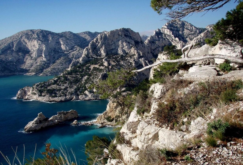 Viaje a través de la región más fragante de Francia