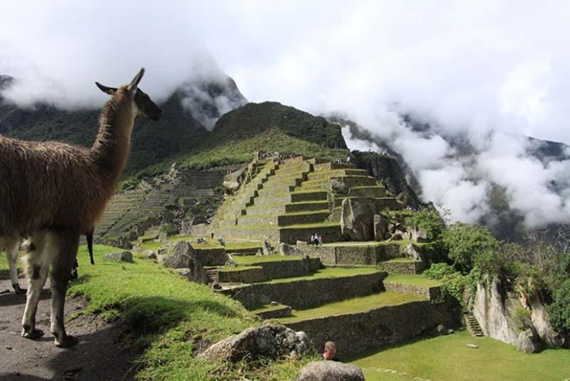 Viaje en moto solo de 82,500 millas