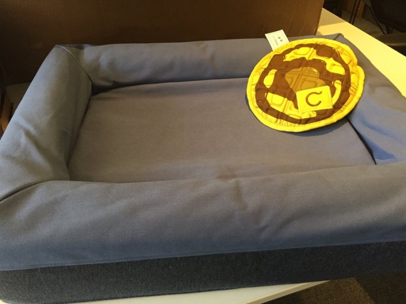 Vibrador, kit de reanimación y otras cosas del regalo para los nominados al Oscar Vibrador, kit de reanimación y otras cosas del regalo para los nominados al Oscar