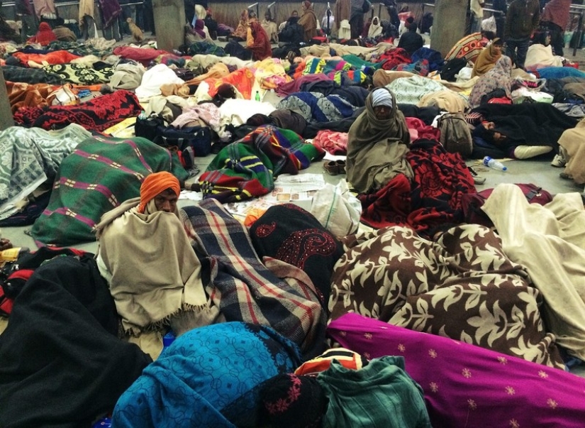 Vida nocturna de la estación india