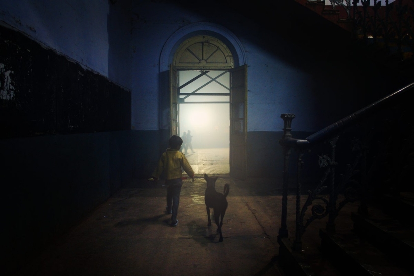 Vida nocturna de la estación india