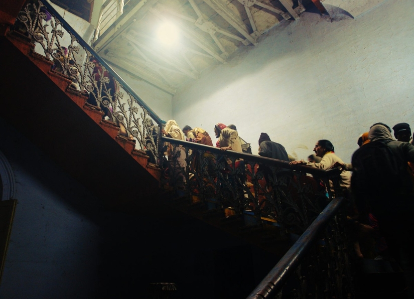 Vida nocturna de la estación india