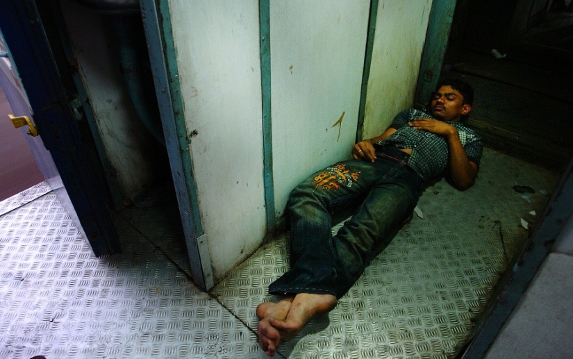 Vida nocturna de la estación india