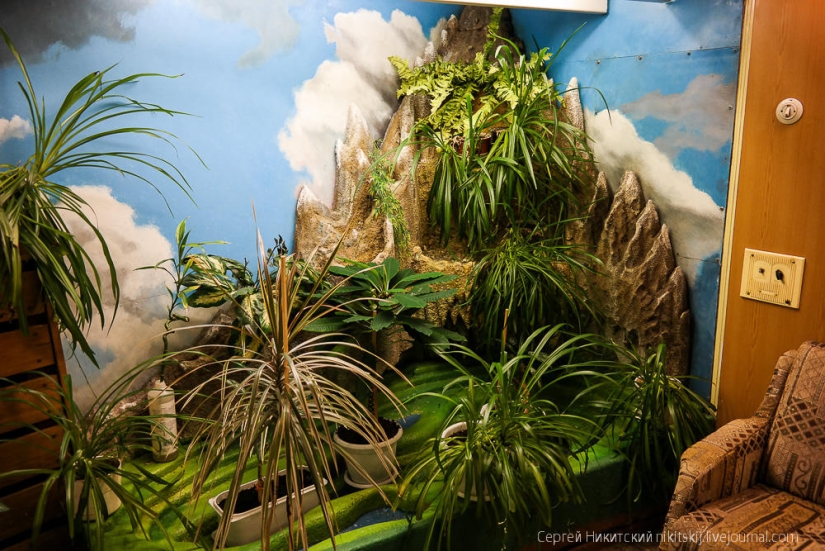 Vida y vida en un rompehielos nuclear Vida y vida en un rompehielos nuclear