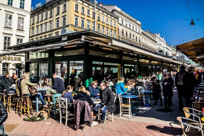 Viena: programa obligatorio Viena: programa obligatorio