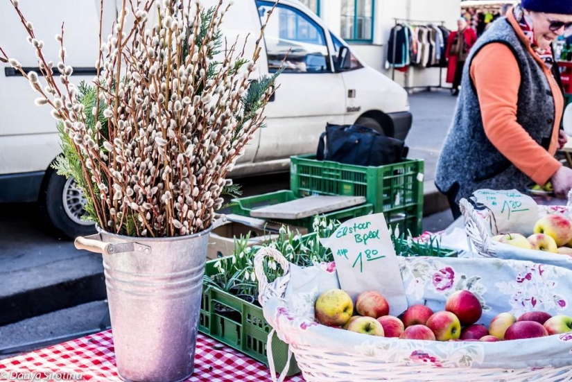 Viena: programa obligatorio Viena: programa obligatorio