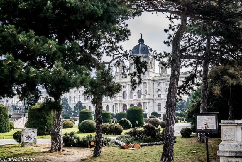 Viena: programa obligatorio Viena: programa obligatorio