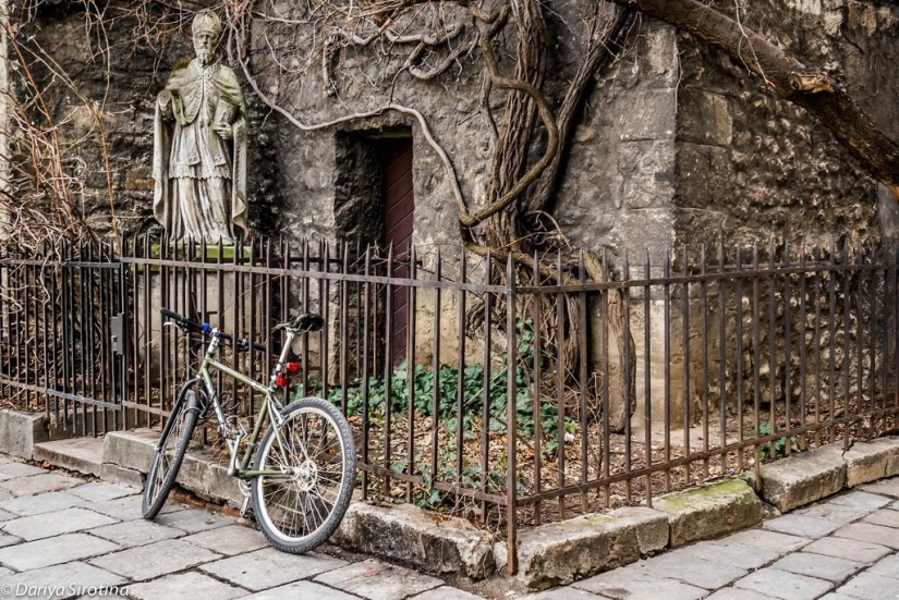 Viena: programa obligatorio Viena: programa obligatorio