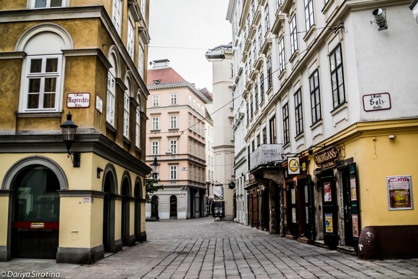 Viena: programa obligatorio Viena: programa obligatorio