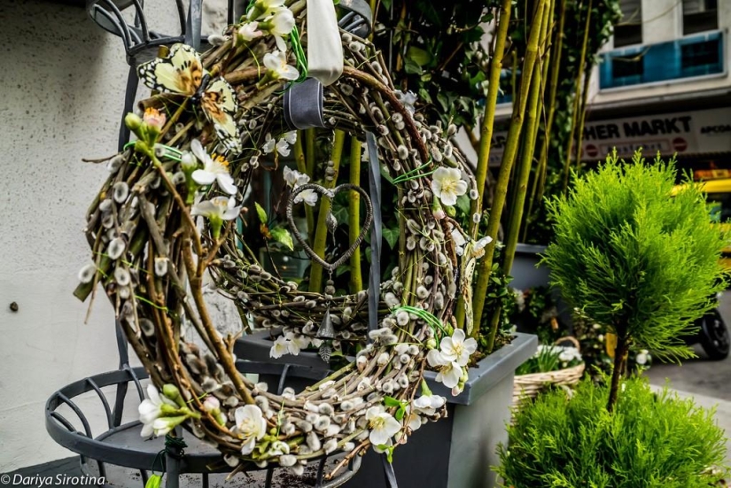 Viena: programa obligatorio Viena: programa obligatorio