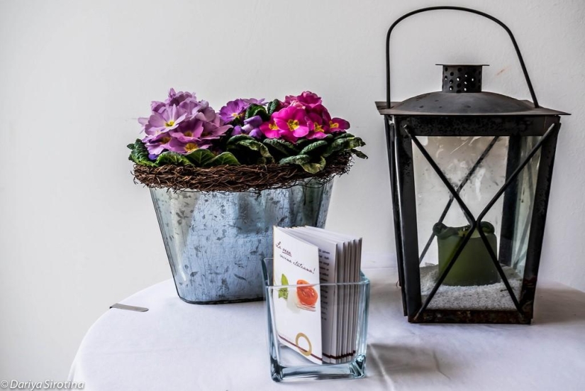 Viena: programa obligatorio Viena: programa obligatorio