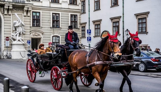 Viena: programa obligatorio