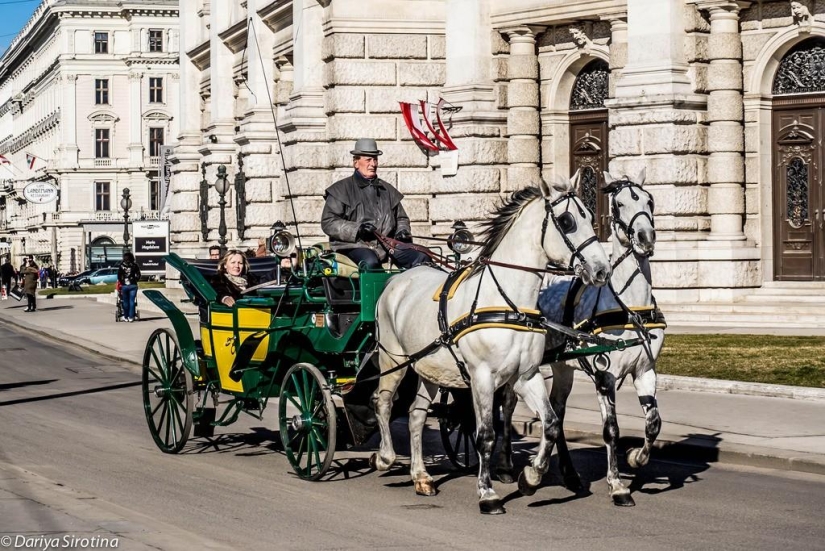 Viena: programa obligatorio Viena: programa obligatorio