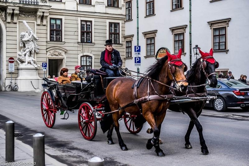 Vienna: Mandatory Program Vienna: Mandatory Program