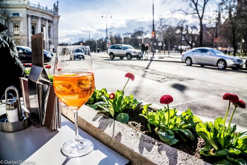 Vienna: Mandatory Program Vienna: Mandatory Program