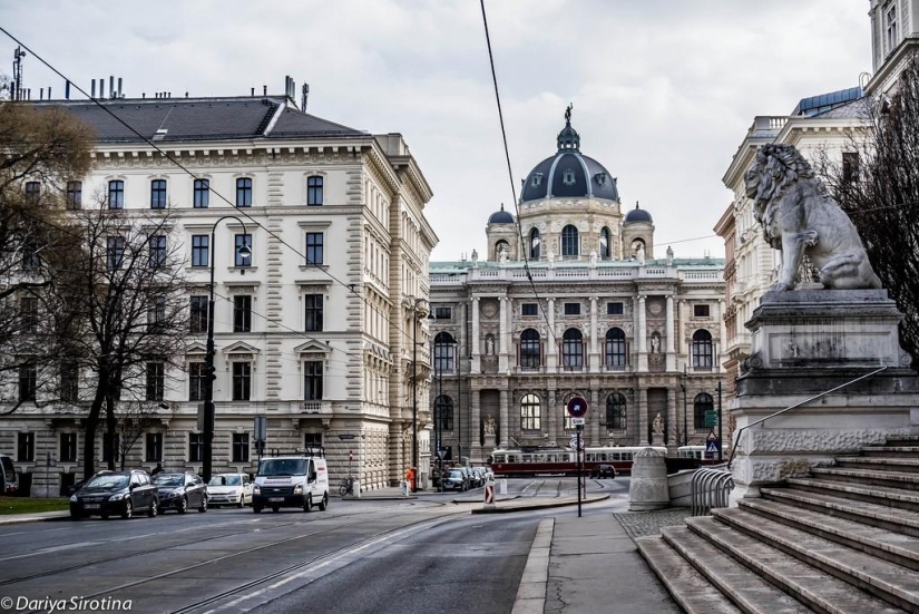 Vienna: Mandatory Program Vienna: Mandatory Program