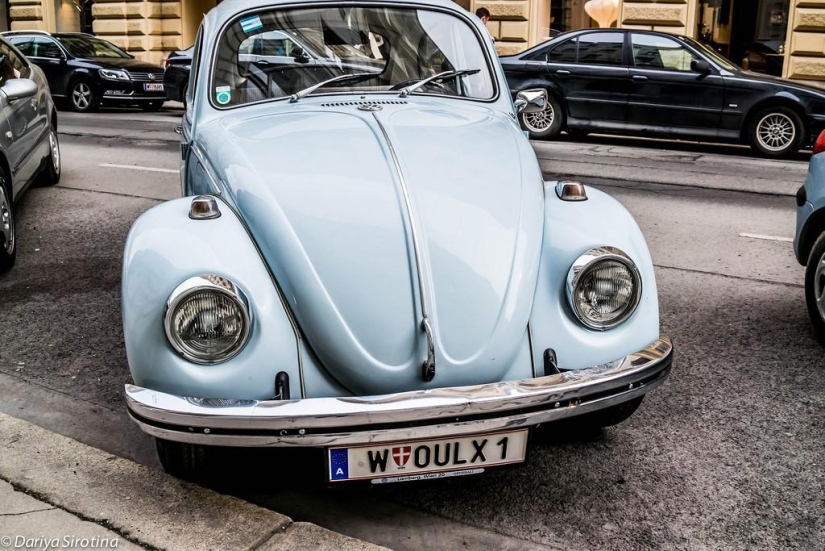 Vienna: Mandatory Program Vienna: Mandatory Program