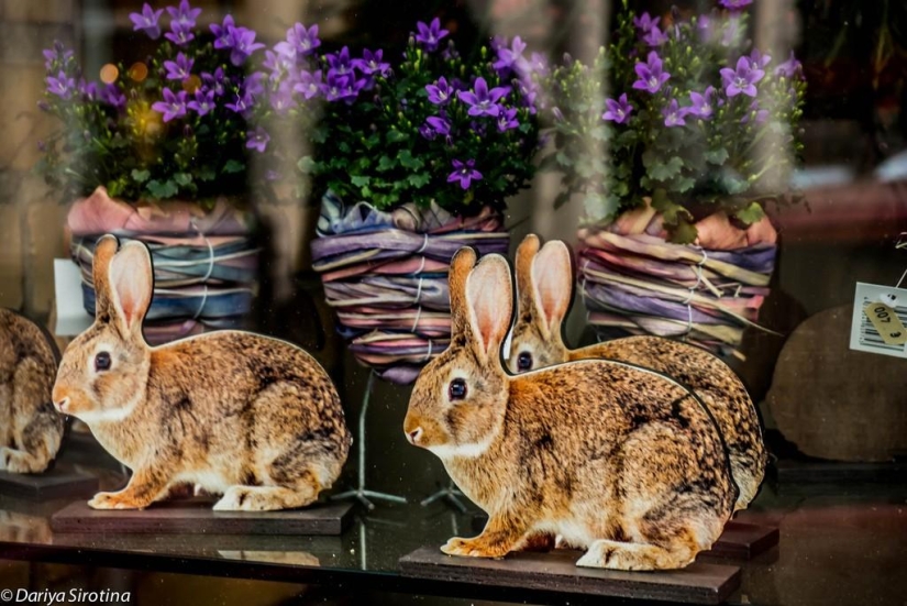 Vienna: Mandatory Program Vienna: Mandatory Program