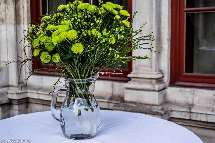 Vienna: Mandatory Program Vienna: Mandatory Program