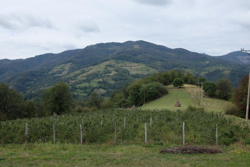 Village of Emir Kusturica Village of Emir Kusturica