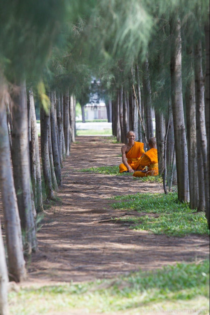 Visitar una buena secta