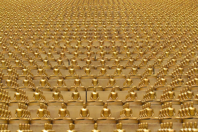 Visiting a good sect Visiting a good sect