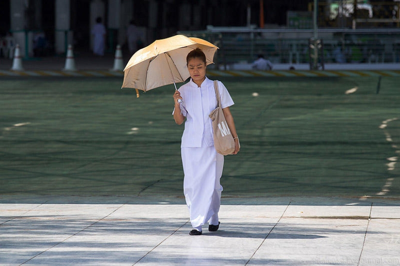 Visiting a good sect Visiting a good sect