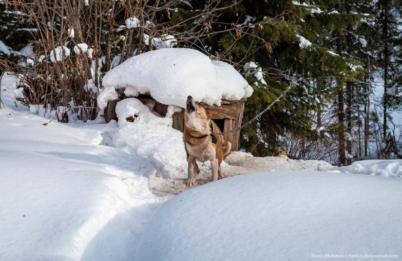 Visiting Agafya Lykova Visiting Agafya Lykova