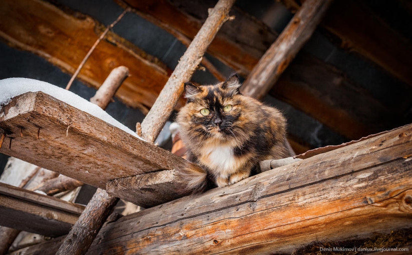 Visiting Agafya Lykova Visiting Agafya Lykova