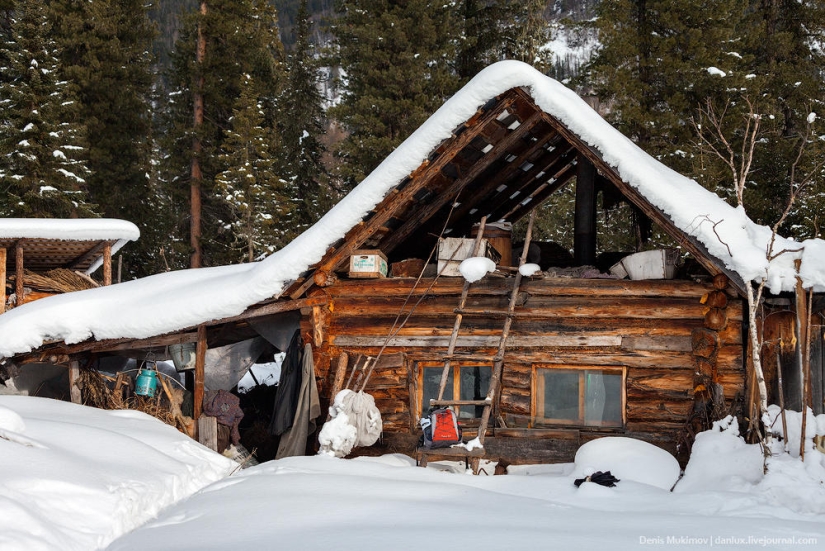 Visiting Agafya Lykova Visiting Agafya Lykova
