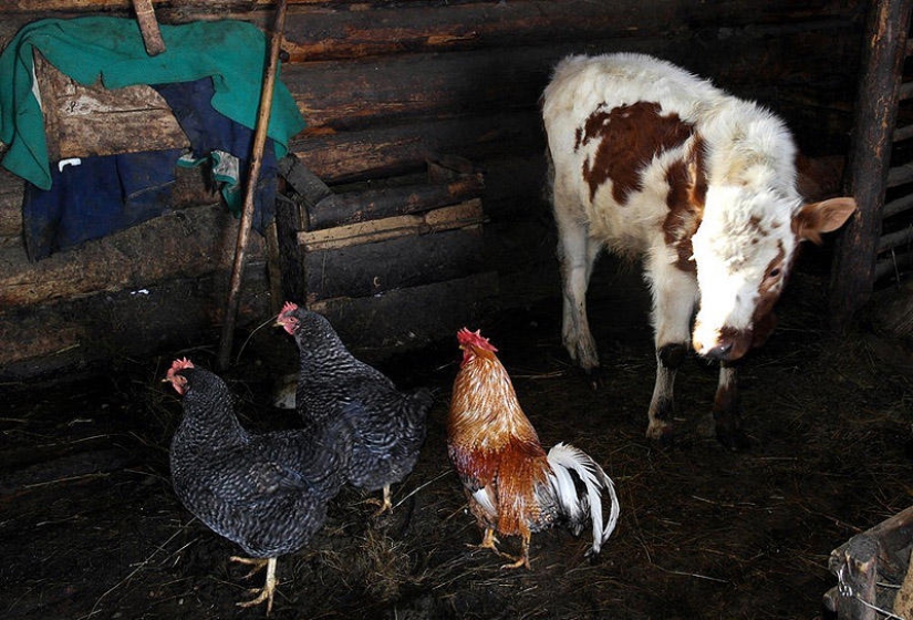 Visiting the Hutsuls: the estate of Ukrainian mountaineers