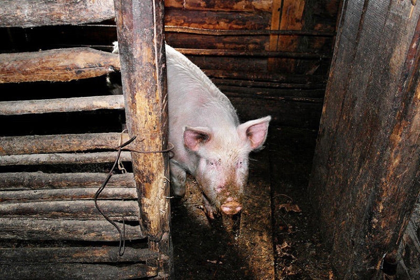 Visiting the Hutsuls: the estate of Ukrainian mountaineers