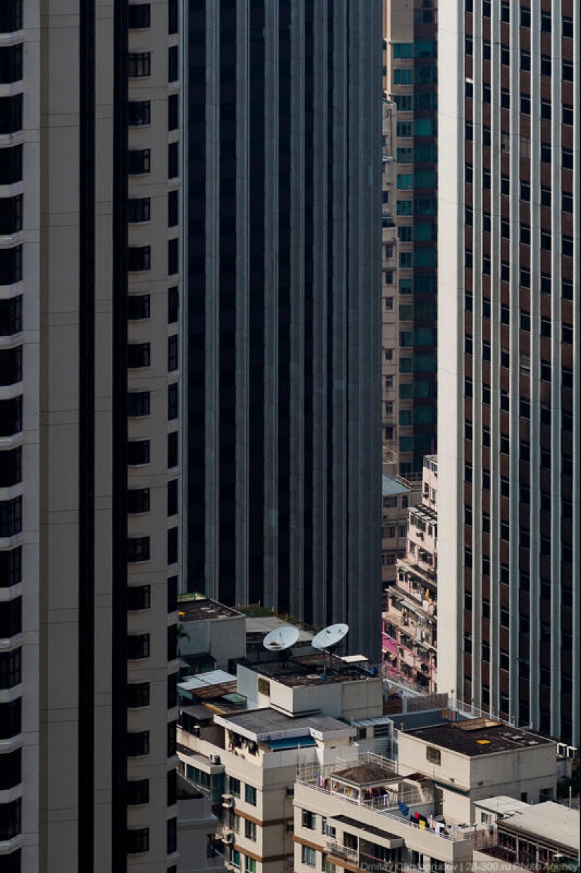Vivienda social en Hong Kong