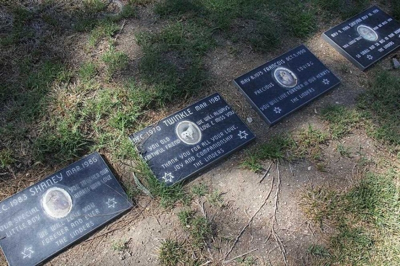 Vivirás para siempre en nuestros corazones: fotos del cementerio de mascotas de Los Ángeles