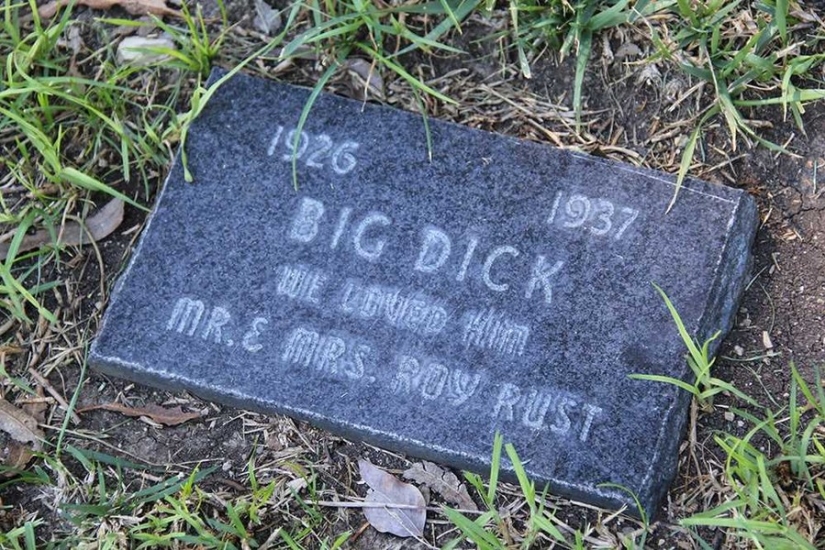 Vivirás para siempre en nuestros corazones: fotos del cementerio de mascotas de Los Ángeles