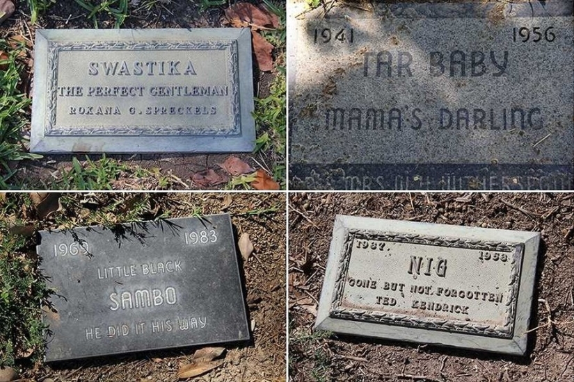 Vivirás para siempre en nuestros corazones: fotos del cementerio de mascotas de Los Ángeles