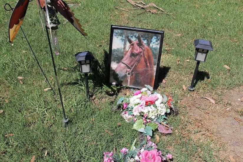 Vivirás para siempre en nuestros corazones: fotos del cementerio de mascotas de Los Ángeles