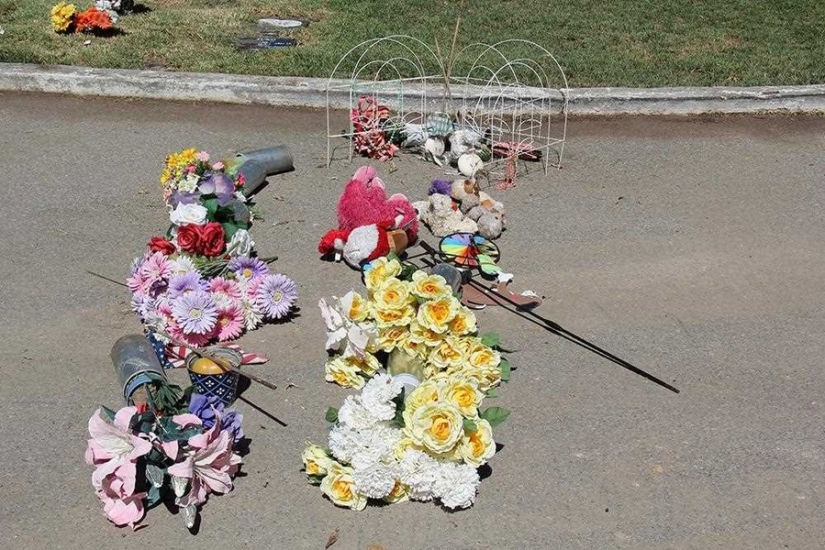Vivirás para siempre en nuestros corazones: fotos del cementerio de mascotas de Los Ángeles