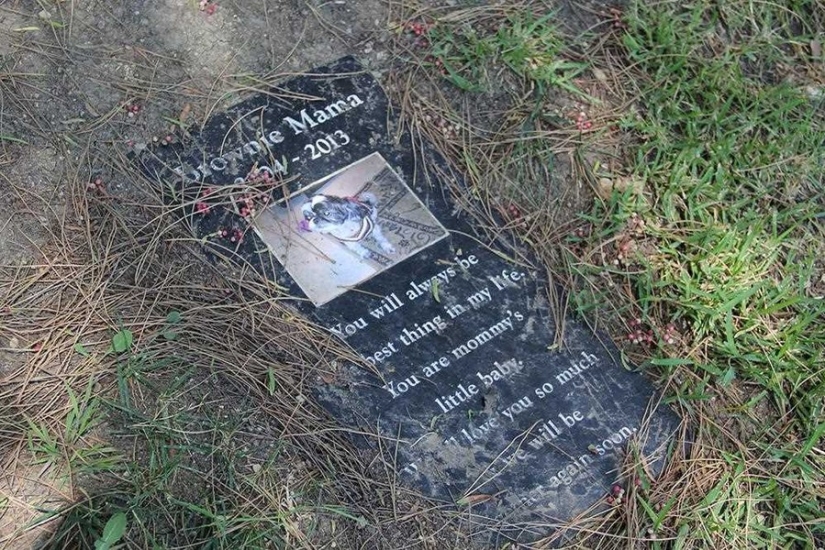 Vivirás para siempre en nuestros corazones: fotos del cementerio de mascotas de Los Ángeles