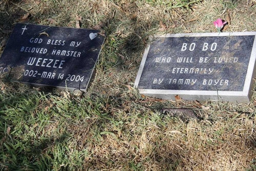 Vivirás para siempre en nuestros corazones: fotos del cementerio de mascotas de Los Ángeles