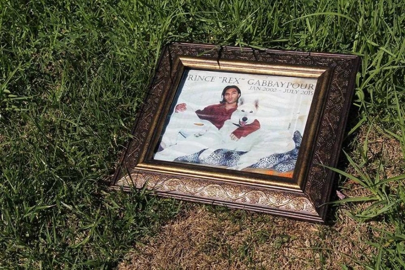 Vivirás para siempre en nuestros corazones: fotos del cementerio de mascotas de Los Ángeles